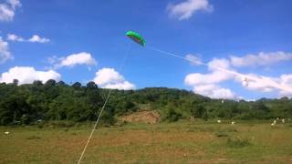 25m Dual Line Parafoil Kite  Power Kite for Beginner [upl. by Short112]