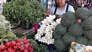 Leo Martz  Recorrido Mercado de Coatepec Ver [upl. by Janean]