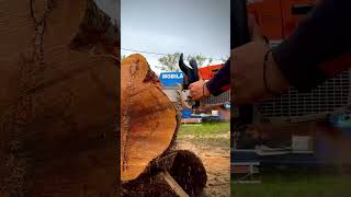 Stihl MS880  Tsumura bar stihl chainsaw woodworking [upl. by Ydollem]