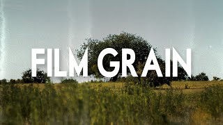 Real Film Grain Overlay for Free [upl. by Dunkin]