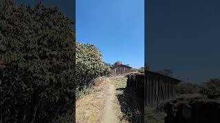 Climbing to Pikey Peak with rhododendrons lighting up the path nature view skyline explore [upl. by Dlorad]