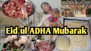 Eid ul Adha Mubarak ❤️ Firni recipe  Vlog ka late honay ka issue 🙁 [upl. by Latnahc945]