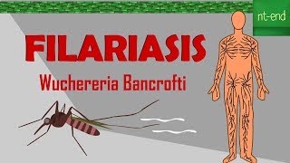 LIFE CYCLE OF Wuchereria Bancrofti biology animals filariasis ntend6435 [upl. by Golliner81]