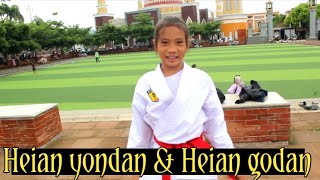 Karate kata 4 5 heian yondan amp heian godan [upl. by Suciram]