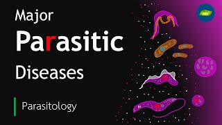 Parasitic Diseases in Humans  Parasitic Infections Worldwide  Basic Science Series [upl. by Hadlee]