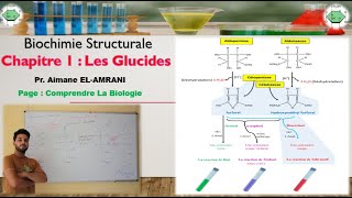 Séance 7  Propriétés chimiques des oses  Propriétés dues à la fonction alcool  Action des Acides [upl. by Rhyne128]