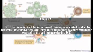 Immunogenic cell death Top  10 Facts [upl. by Rubliw]