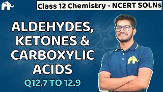 Aldehydes Ketone amp Carboxylic Acids Class 12  Chemistry Chapter 12  NCERT Solutions Questions 79 [upl. by Sander]