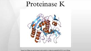 Proteinase K [upl. by Metzger]