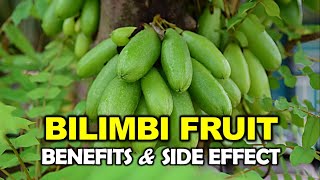 Averrhoa Bilimbi Fruit Benefits and Side Effects [upl. by Alburga194]