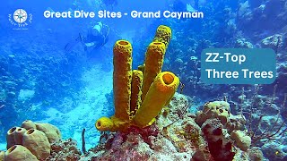 2 Great Reefs  Grand Cayman West End  ZZTop  The Three Trees  4K [upl. by Rowan]