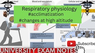 Acclimatization physiologymedicoscontent3135 [upl. by Helyn159]