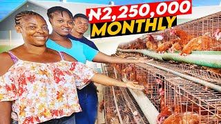 How This Nigerian Family Make 2800 Monthly from Poultry Farming [upl. by Nnyled]