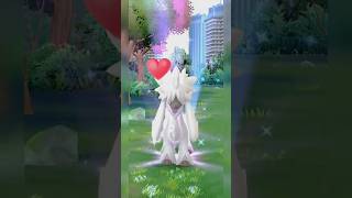 🔥Found High Cp Wild Furfrou🔥Pokemon go shortspokemonpokemongo [upl. by Daugherty]