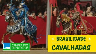 Brasilidade  Cavalhadas [upl. by Selmner777]