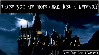 More Than Just A Werewolf  Harry Potter Song On Screen Lyrics [upl. by Duncan]