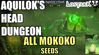 AQUILOKS HEAD DUNGEON  ALL MOKOKO SEEDS amp COMPLETION  LOST ARK [upl. by Pietro]