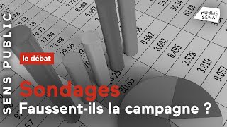 Sondages  Faussentils la campagne [upl. by Calvo]