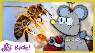 How Do Bees Make Honey  The Science of Food  SciShow Kids [upl. by Ahtelahs]