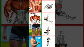 full body trends for men and women ♥️👍trending motivation ashokafitness chest weightshortvideo [upl. by Bonnie646]