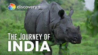 Coexist and Conserve Indias National Parks  The Journey of India  discovery [upl. by Mullen51]