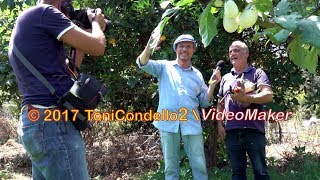 Taurianova  “L’orto sull’Albero” di Francesco Mangano su Canale 5  by ToniCondello2 [upl. by Garfield]