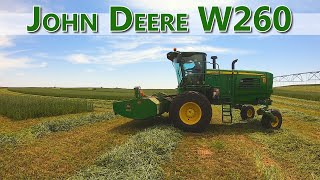 Six Swathers Working One Field Take A Look At What SIX John Deere W260s Can Do [upl. by Claudian]