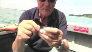 How to tie a Longline Knot [upl. by Lundell]