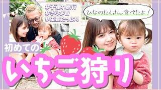 【佐藤すみれおでかけvlog】貴重な苺「きらぴ香」をいちご狩りで堪能！（静岡・石川農園） [upl. by Letha724]