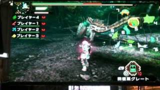 Gameplay Monster Hunter Portable 3rd [upl. by Nosirb413]