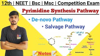 Biosynthesis Of Pyrimidine  Pyrimidine Synthesis By Denovo Pathway  Biochemistry  By Dadhich Sir [upl. by Henryson]