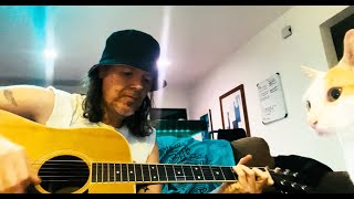 Bulbs Van Morrison cover by Dewey Paul Moffitt solo acoustic [upl. by Cordle]