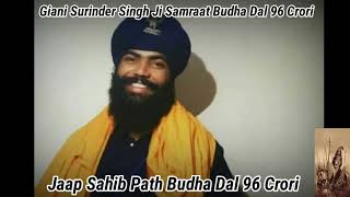 Giani Surinder Singh Ji Samraat Budha Dal 96 Crori  Jaap Sahib Path Budha Dal 96 Crori Video [upl. by Omolhs]