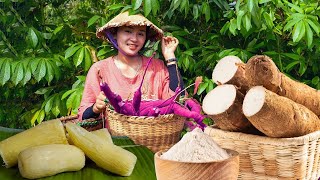 Harvesting CASSAVA Harvesting BLOOD PLUMSGoes To The Market Sell  Phương Farm Life [upl. by Nolra]