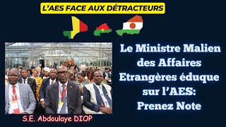 Le Ministre Malien des Affaires Etrangères Eduque les Détracteurs de lAES [upl. by Castorina]