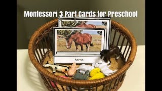 Montessori 3 Part Cards I Montessori 3 Period Lesson I How to use in Preschool [upl. by Labaw]