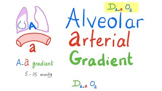 AlveolarArterial Gradient  Aa Gradient  Respiratory Physiology amp PathologyPulmonary Medicine [upl. by Ynoep]