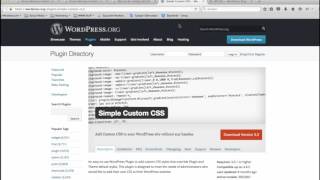 Zeilenabstand bei Wordpress ändern  WP Edit und Simple Custom CSS Tutorial [upl. by Hairej]