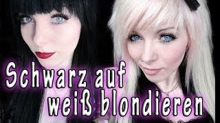 SCHWARZ auf WEIß blondieren  Erfahrungsbericht  Tipps [upl. by Columbyne]