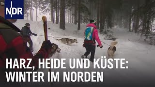 Erlebnis Winterzauber  die nordstory  NDR Doku [upl. by Gaal]