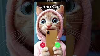 CAT IS CALLING TO YOU 😂 cat [upl. by Bastian]