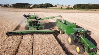 John Deere S690 Working Hard Threshing Barley  JD 8400R  Aakær Gods  Danish Agriculture [upl. by Alaet]