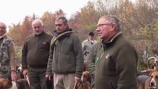 chasse au sanglier à lAbbaye du Val des Choues [upl. by D'Arcy]