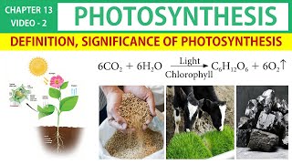 Photosynthesis in Tamil 2  Definition Significance  Class 11 Botany State Board [upl. by Bertolde616]