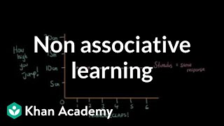 Non associative learning  Behavior  MCAT  Khan Academy [upl. by Anorahs880]