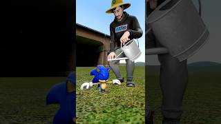 Help the MrBeast raise Sonic [upl. by Salb75]