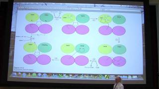 28 Biochemistry Citric Acid Cycle Lecture for Kevin Aherns BB 451551 [upl. by Aikyt]