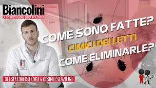 🔴​✔️​Cimici dei letti scopri come sono fatte e come eliminarle🔴​✔️​ [upl. by Lednik572]