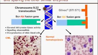 Drug Discovery amp Clinical Development Overview [upl. by Harcourt20]