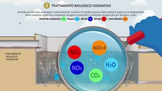 Video Depurazione [upl. by Arezzini]